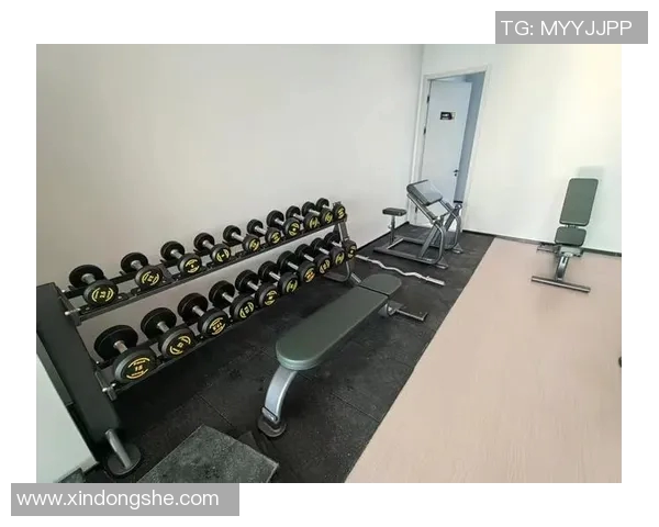 青岛健身器材专卖店的选择与购买指南